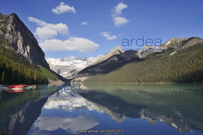 : Red canoes at Lake Louise, Banff National Park : Red canoes at Lake Louise, Banff National Park