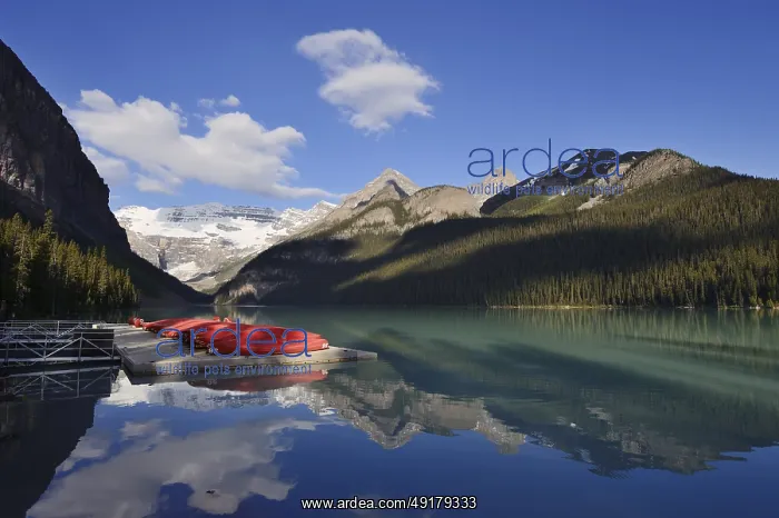 : Red canoes at Lake Louise, Banff National Park : Red canoes at Lake Louise, Banff National Park