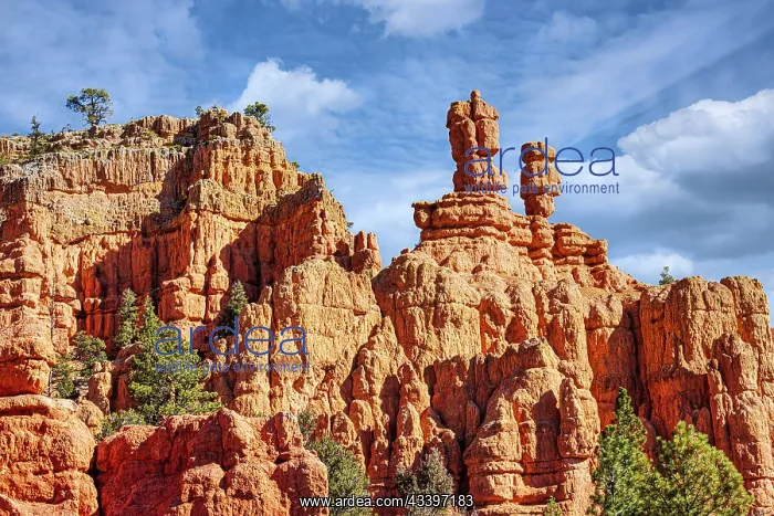 : Red Canyon Area of Dixie National Forest in Utah : Red Canyon Area of Dixie National Forest in Utah