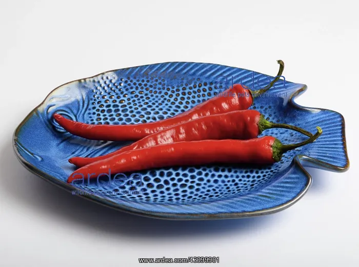 : Red Chili Pepper : Red Chili Pepper