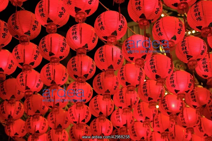  : Red Chinese paper lantern decorations for Chinese