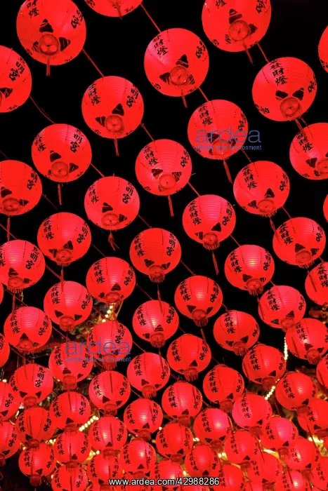 : Red Chinese paper lantern decorations for Chinese : Red Chinese paper lantern decorations for Chinese