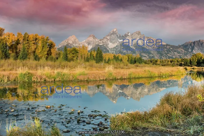 : Red clouds at sunrise, Grand Teton Range mountain : Red clouds at sunrise, Grand Teton Range mountain