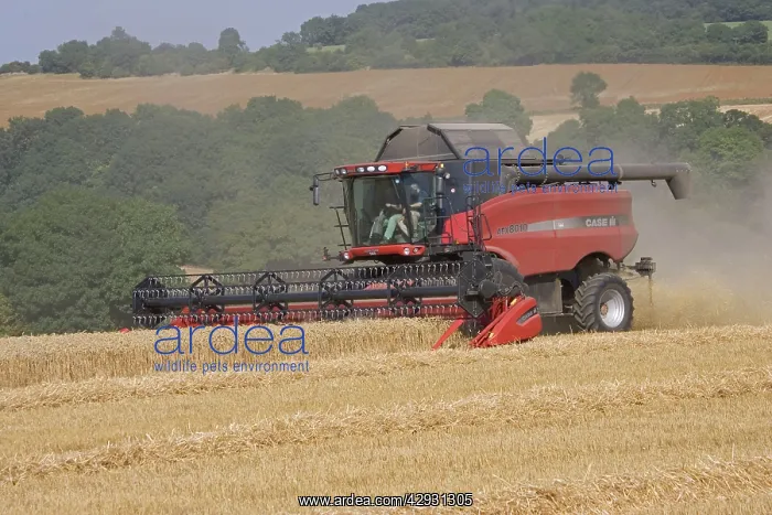 : Red combine harvester working in Cotswolds : Red combine harvester working in Cotswolds