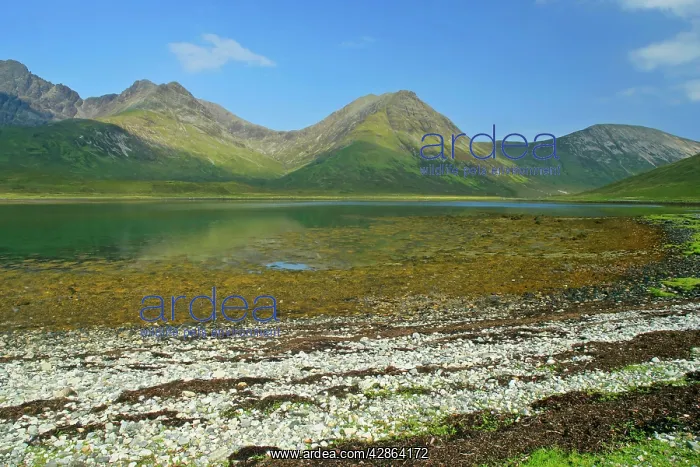 : Red Cuillins and Loch Slapin - seen from beach : Red Cuillins and Loch Slapin - seen from beach
