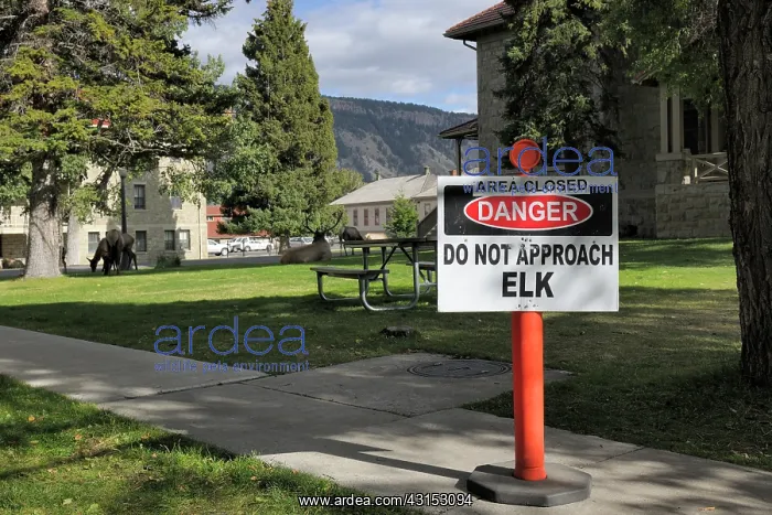 : Red Deer. Elk warning sign in urban environment with Elk : Red Deer. Elk warning sign in urban environment with Elk