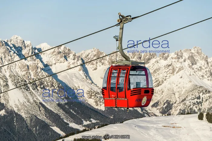 : Red gondola lift to the Hohe Salve in front of the : Red gondola lift to the Hohe Salve in front of the