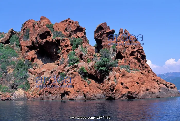 : Red Granite rock formation next to the sea : Red Granite rock formation next to the sea