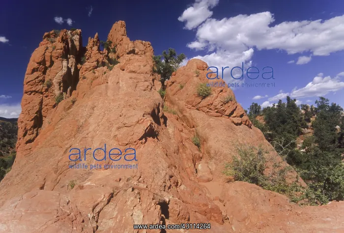 : Red Lyons Sandstone rock formation : Red Lyons Sandstone rock formation