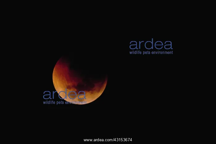  : Red moon during total lunar eclipse