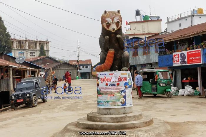 : Red Panda statue in Nayabazar : Red Panda statue in Nayabazar