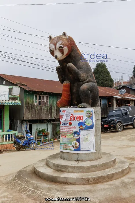 : Red Panda statue in Nayabazar : Red Panda statue in Nayabazar