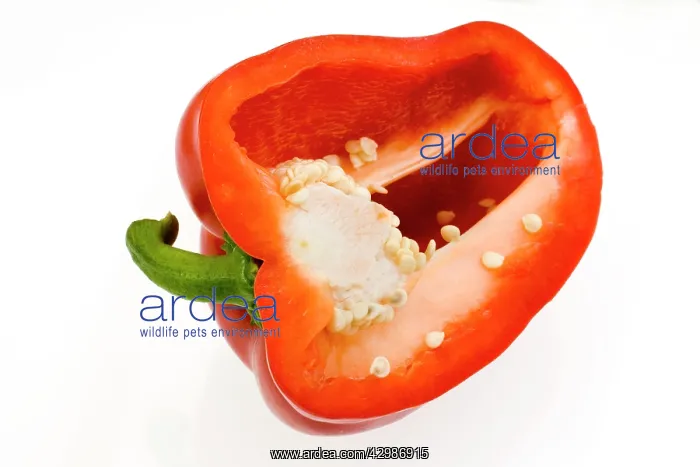  : Red Pepper - sliced open