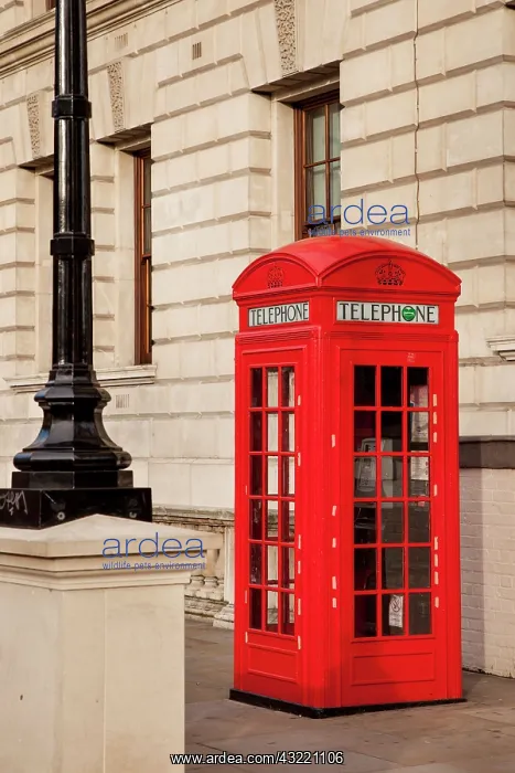 : Red Phone Booth, London, England : Red Phone Booth, London, England