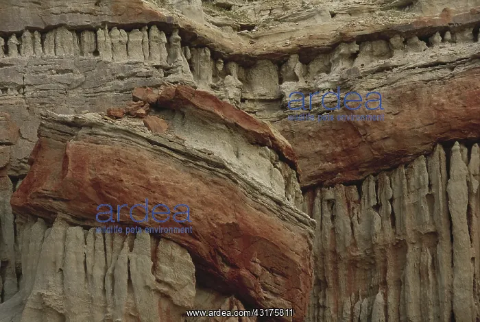: Red Rock Canyon, California : Red Rock Canyon, California