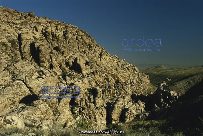 : Red Rock Canyon, Nevada : Red Rock Canyon, Nevada