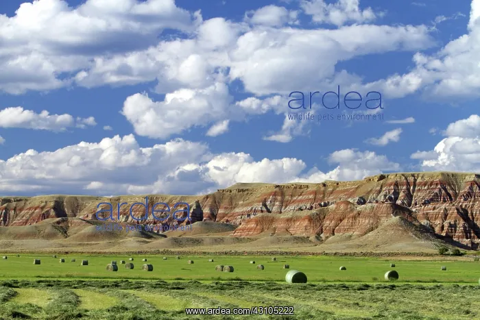 : Red Rock Cliffs, WY : Red Rock Cliffs, WY