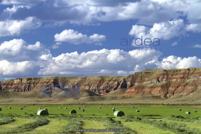 : Red Rock Cliffs, WY : Red Rock Cliffs, WY