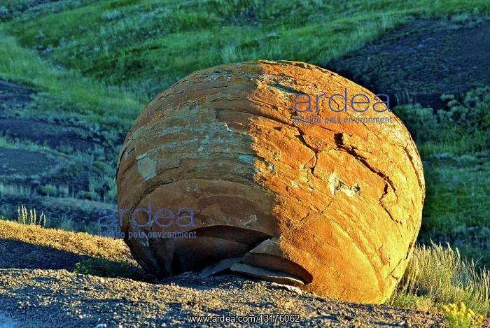 : Red Rock Coulee : Red Rock Coulee