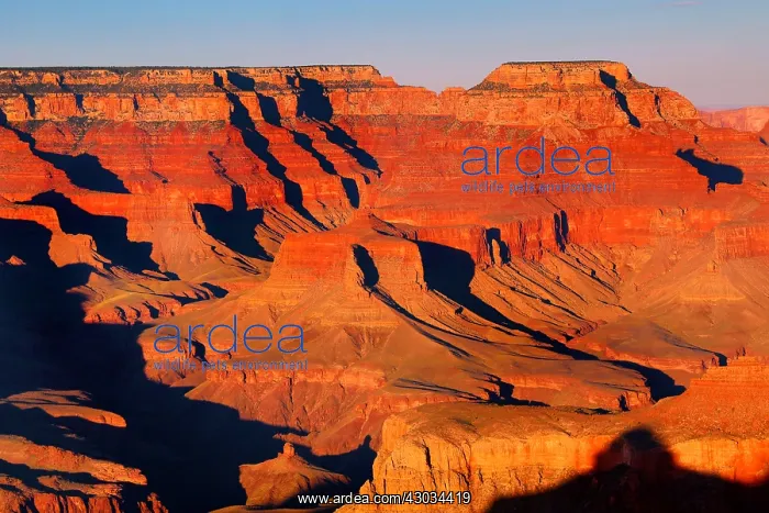  : Red rock of the Grand Canyon seen from the South