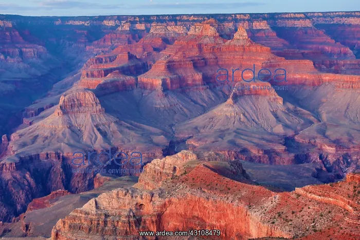  : Red rock of the Grand Canyon seen from the South