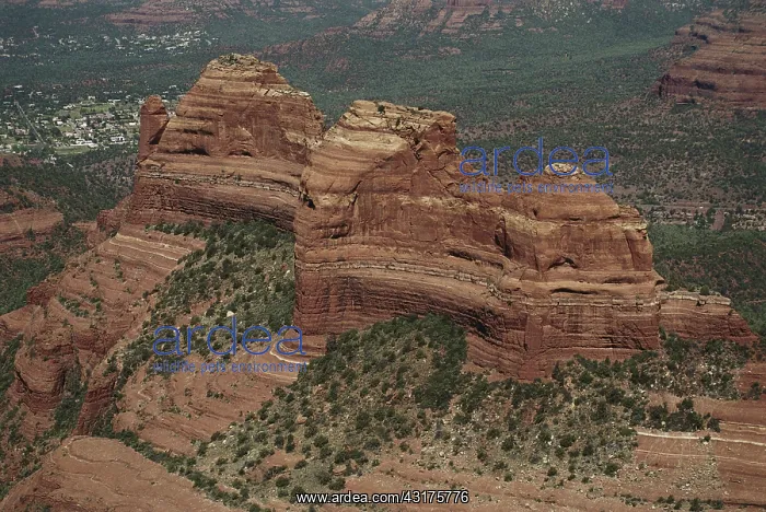 : Red Rocks in Sedona, Arizona : Red Rocks in Sedona, Arizona