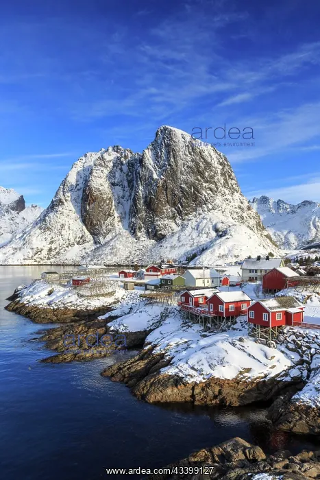: Red rorbuer in winter, fishermens cabins, snow-covered : Red rorbuer in winter, fishermens cabins, snow-covered