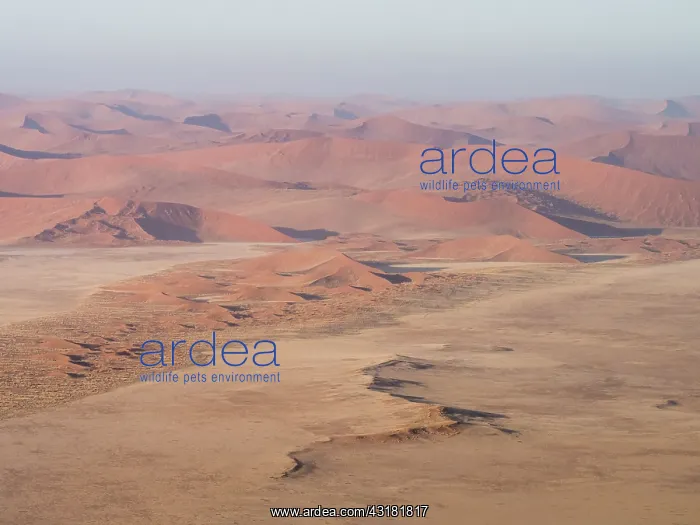  : Red sanddunes