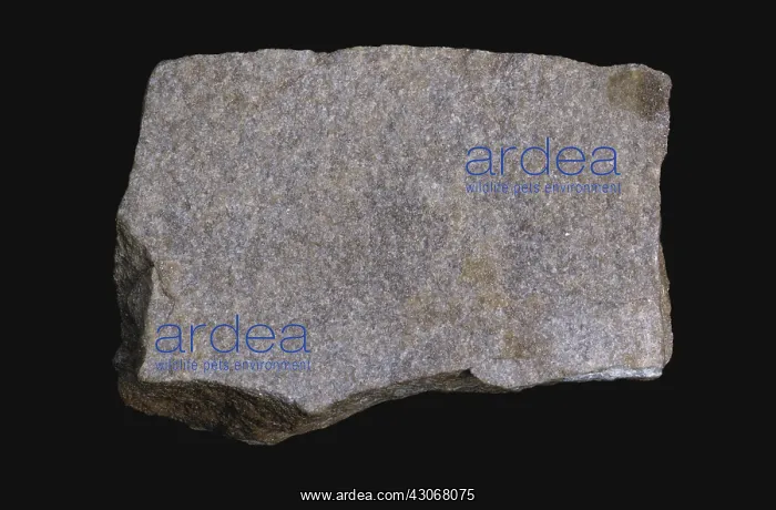 : Red Sandstone : Red Sandstone