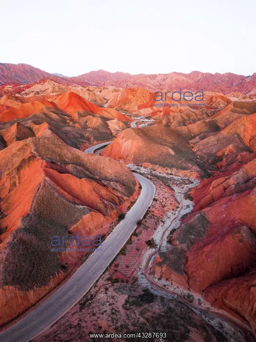: Red sandstone mountains of different minerals, Zhangye : Red sandstone mountains of different minerals, Zhangye