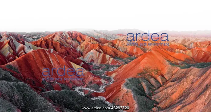 : Red sandstone mountains of different minerals, Zhangye : Red sandstone mountains of different minerals, Zhangye