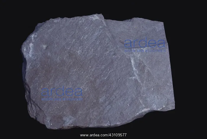  : Red Slate. Red slate from Granville, New York