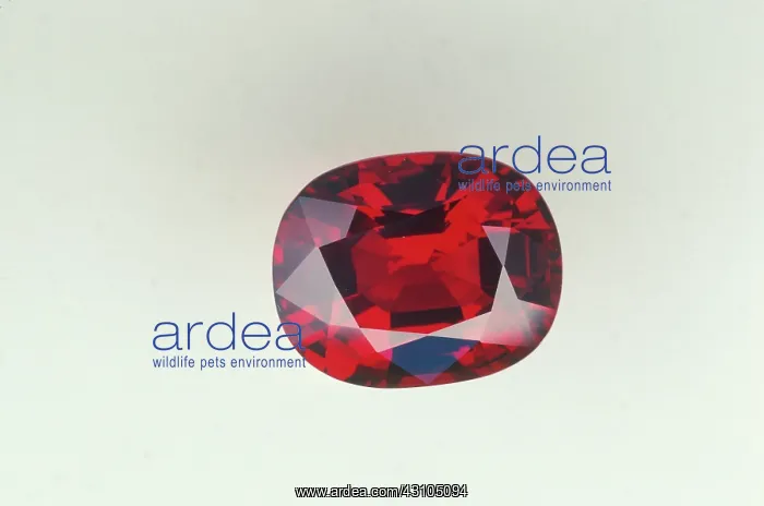 : Red Spinel Gemstone : Red Spinel Gemstone