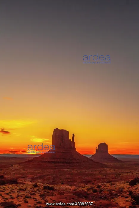 : Red sunrise in the beautiful Monument Valley, Ut : Red sunrise in the beautiful Monument Valley, Ut