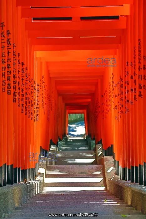 : Red Torii Gate tunnel at the Hie-Jinja Shinto Shrine : Red Torii Gate tunnel at the Hie-Jinja Shinto Shrine