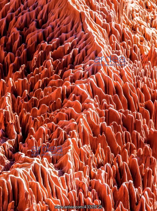 : Red Tsingy. Typical landscape. Madagascar : Red Tsingy. Typical landscape. Madagascar