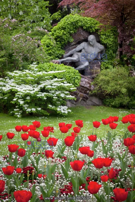 : Red tulips and the L'Effort, a sculpture : Red tulips and the L'Effort, a sculpture