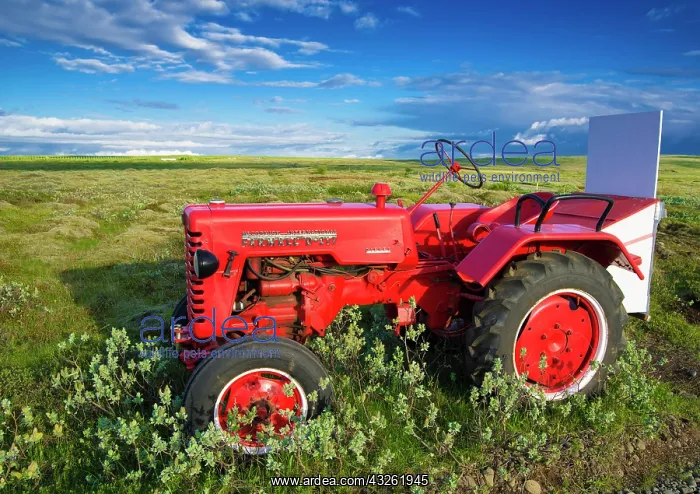 : Red vintage tractor, Farmall D-217, oldtimer, in : Red vintage tractor, Farmall D-217, oldtimer, in