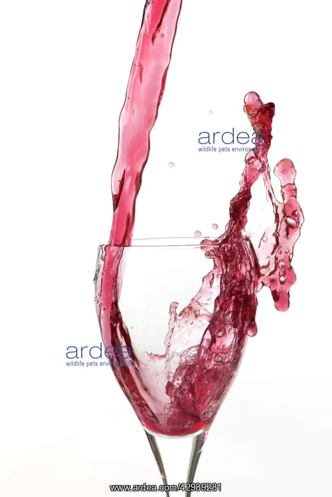 : Red wine being poured a into glass : Red wine being poured a into glass