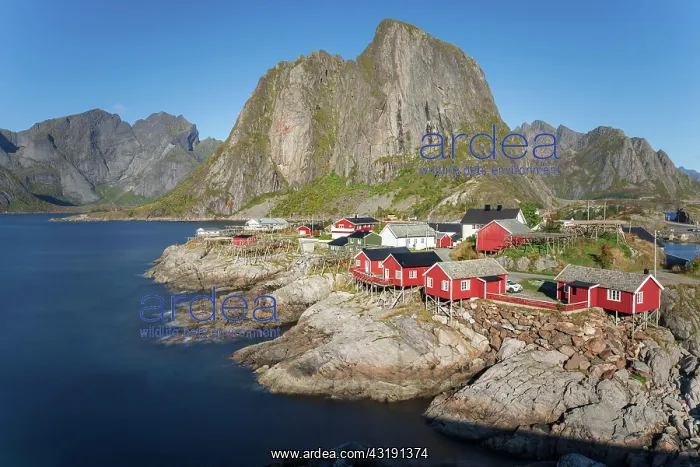 : Red wooden houses Rorbu, Rorbu fishermen's cabins : Red wooden houses Rorbu, Rorbu fishermen's cabins