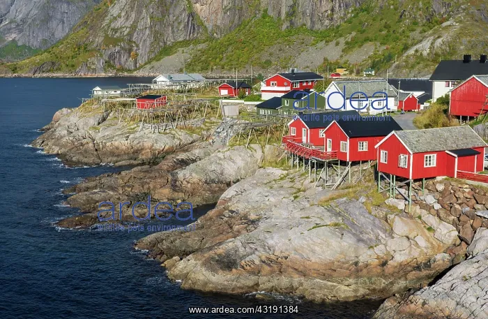 : Red wooden houses Rorbu, Rorbu fishermen's cabins : Red wooden houses Rorbu, Rorbu fishermen's cabins