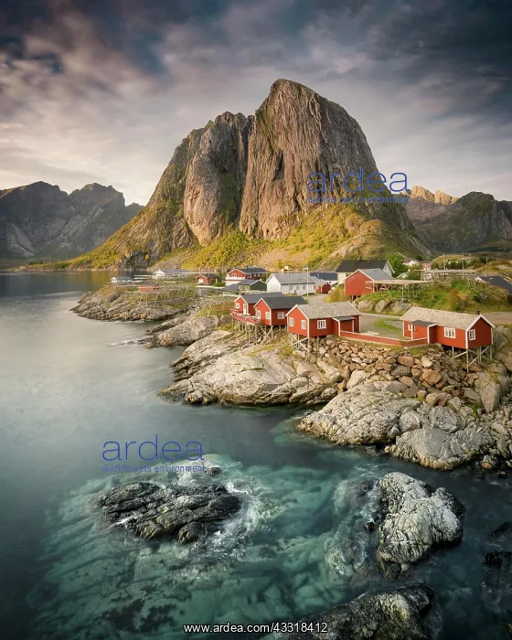 : Red wooden houses Rorbu, Rorbu fishermen's cabins : Red wooden houses Rorbu, Rorbu fishermen's cabins
