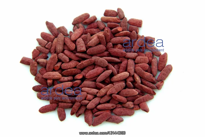 : Red Yeast Rice : Red Yeast Rice