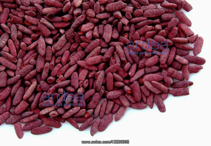 : Red Yeast Rice : Red Yeast Rice