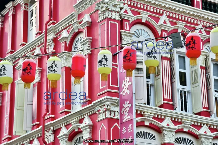 : Red and yellow Chinese lanterns hanging in front of colo : Red and yellow Chinese lanterns hanging in front of colo
