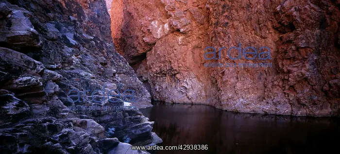 : Redbank Gorge, West MacDonnell National Park, Northern : Redbank Gorge, West MacDonnell National Park, Northern