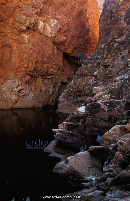 : Redbank Gorge, West MacDonnell Ranges National : Redbank Gorge, West MacDonnell Ranges National