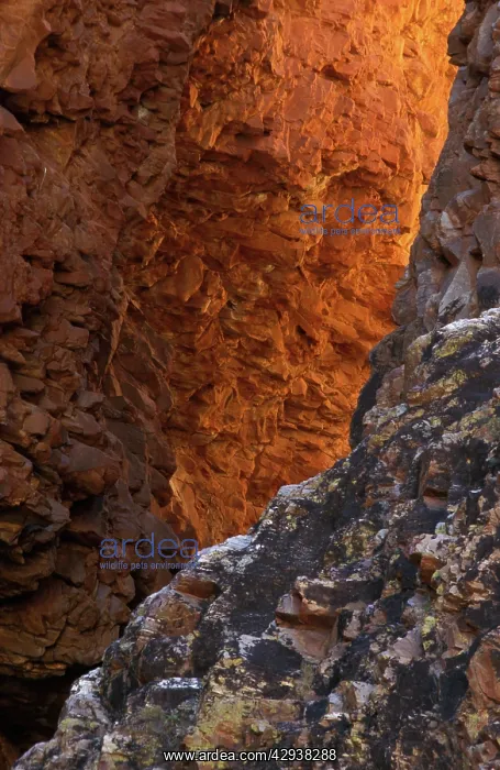 : Redbank Gorge, West MacDonnell Ranges National : Redbank Gorge, West MacDonnell Ranges National