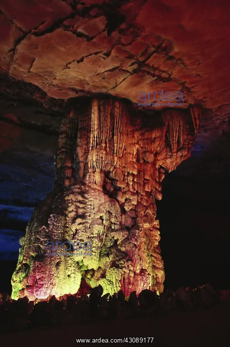 : Reed Flute Cave, China : Reed Flute Cave, China
