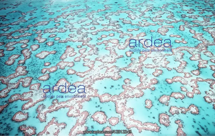 : REEF LAGOON - Great Barrier Reef, Aerial : REEF LAGOON - Great Barrier Reef, Aerial